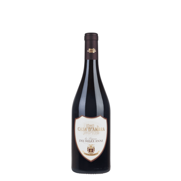 Vigna dei Mille Anni Casa d'Ambra